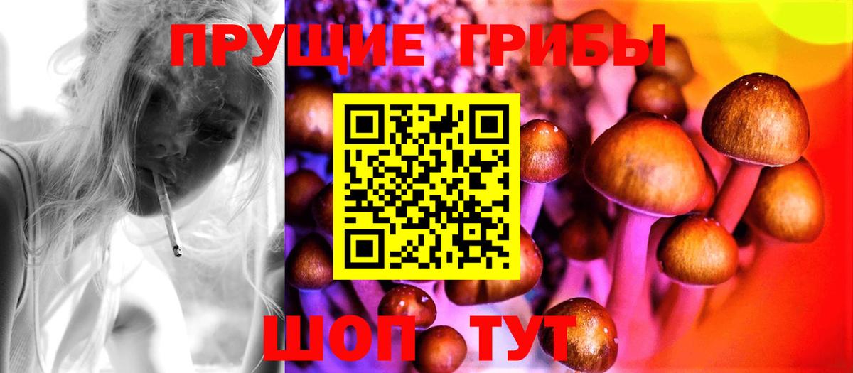 Псилоцибиновые грибы GOLDEN TEACHER  Вход с VPN  Добрянка  Галлюциногенные грибы прущие грибы 